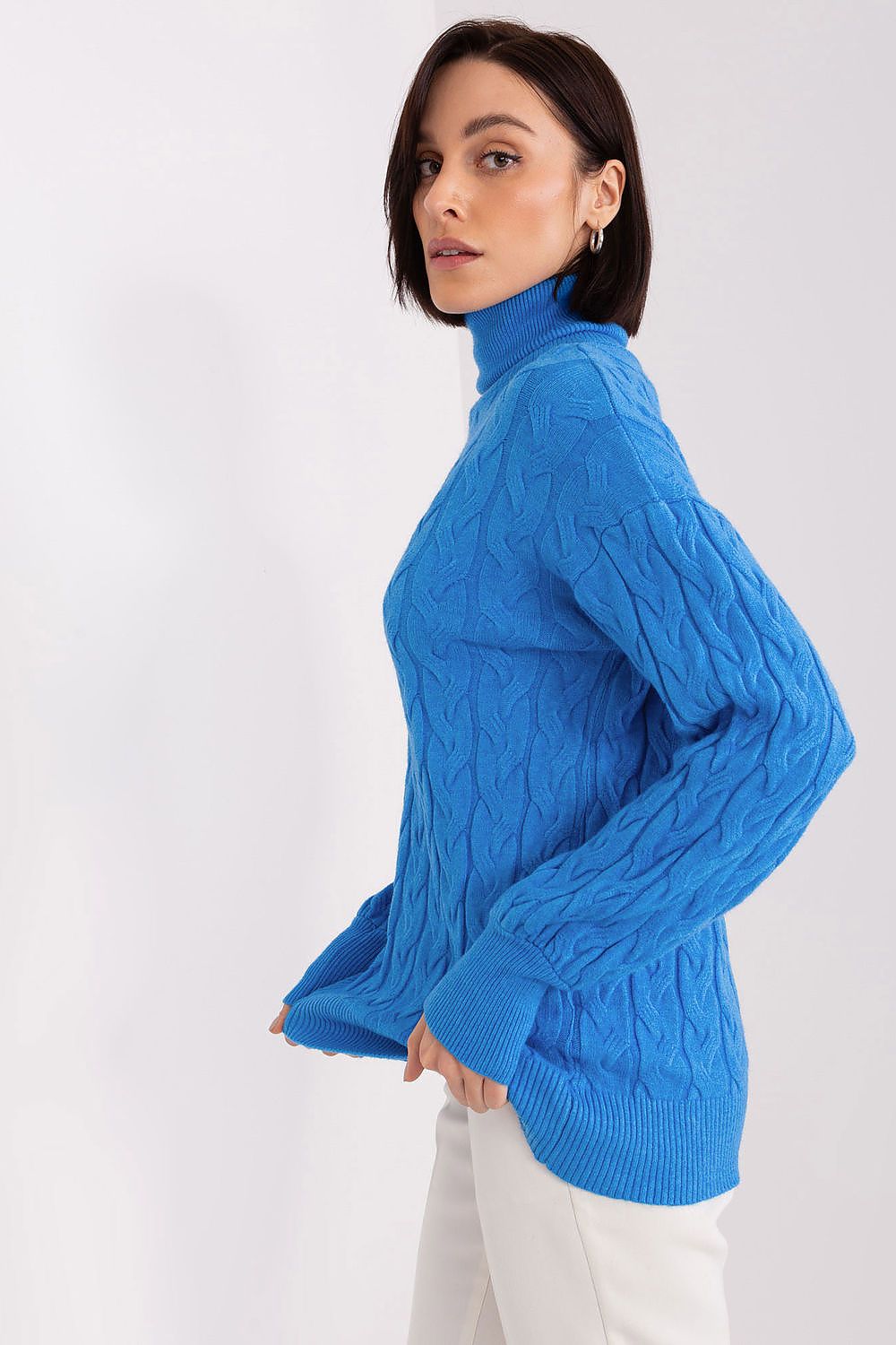 Rollkragenpullover model 188299 AT