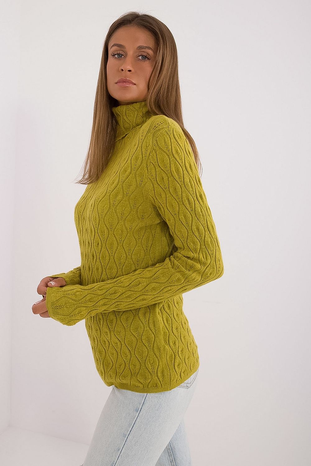 Rollkragenpullover model 208279 AT