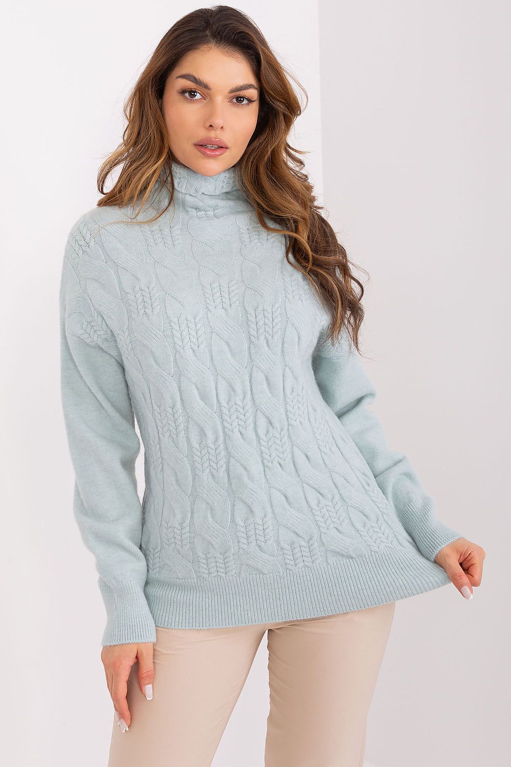 Rollkragenpullover model 208315 AT