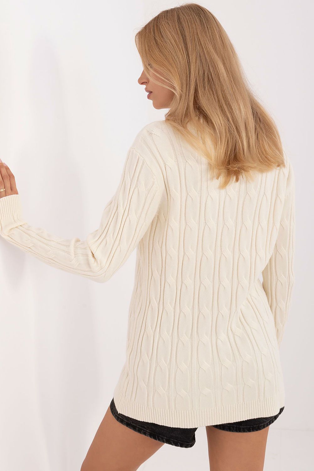  Pullover model 199534 AT 